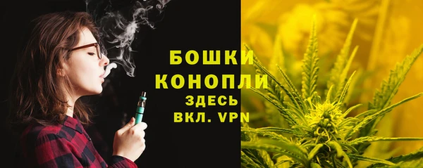 соль ск Нязепетровск