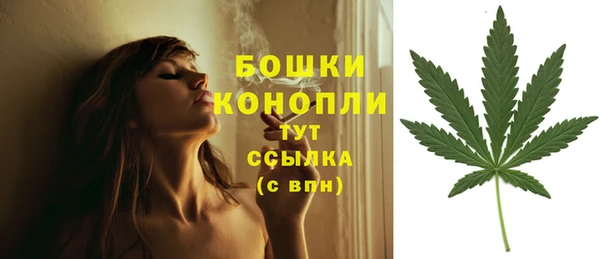 тгк Няндома