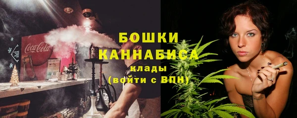ALPHA PVP Новозыбков
