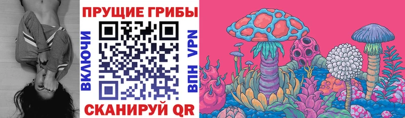 Галлюциногенные грибы Cubensis  Шлиссельбург 